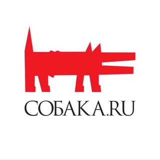 Аватар канала НН.Собака.ru