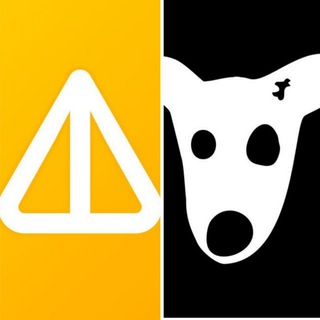 ناتکوین | داگز | DOGS | NOTCOIN channel avatar