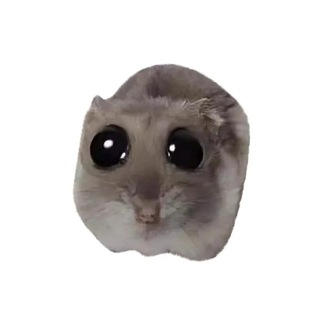 (not)Sad Hamster channel avatar