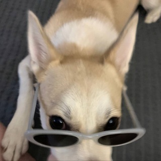 это что алканда channel avatar