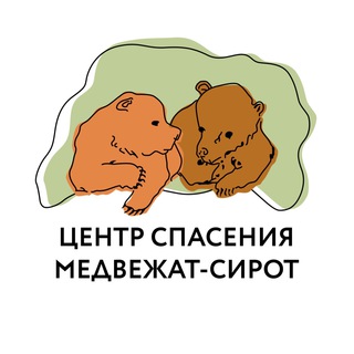 Центр спасения медвежат-сирот channel avatar