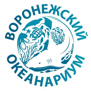 Воронежский океанариум channel avatar