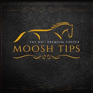 Аватар канала The Official Moosh Tips Channel
