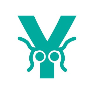 Oilfly channel avatar