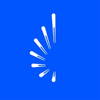 Аватар канала TNF Forum