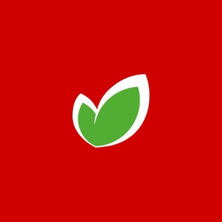 ОКЕЙ channel avatar