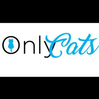 𝔾𝕒𝕥𝕠𝕤 😻 ℂ𝕒𝕥𝕤 🐈⬛ channel avatar