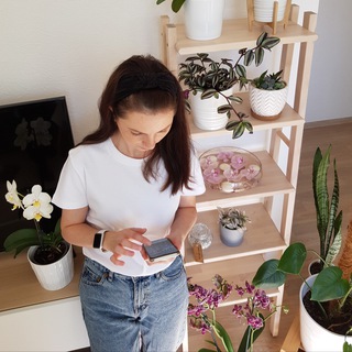 Аватар канала Orchid_katlo