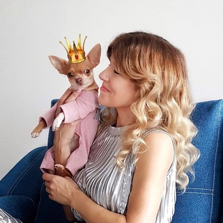 Аватар канала Оксана & Чихуахуа Бонита
