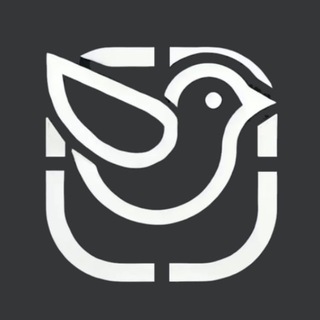 P2Pigeon channel avatar