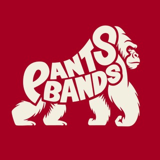 PANTS BANDS channel avatar