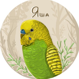 Аватар канала parrotlife
