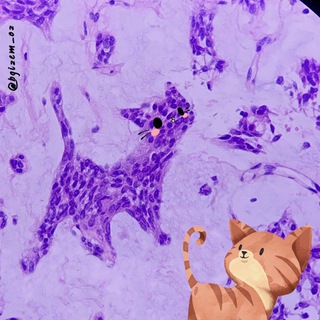 Моя патология / My Pathology channel avatar