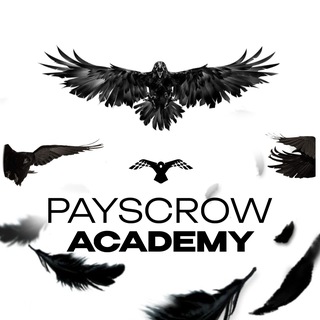 Аватар канала Payscrow Academy