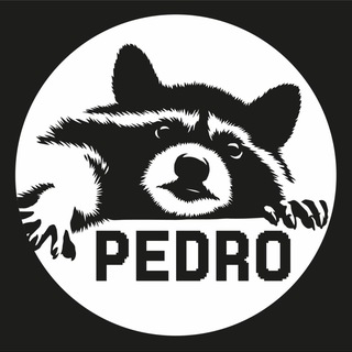 Pedro Discussion 🦝 channel avatar