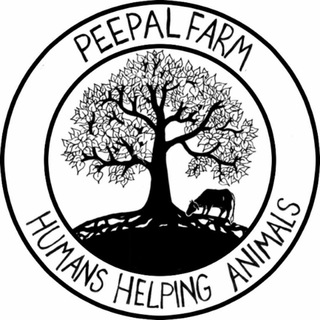 Peepal Farm channel avatar