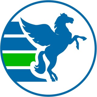 Pegas Touristik Чита channel avatar