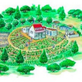 Permacultura, Ecoaldeas, Bioconstrucción y Autosuficiencia channel avatar