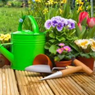 Аватар канала PermaKulturGarten