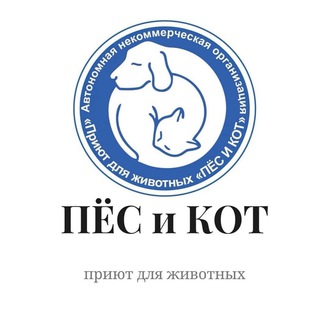 Аватар канала Приют Пес и Кот Южно-Сахалинск