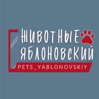 Животные Яблоновский channel avatar