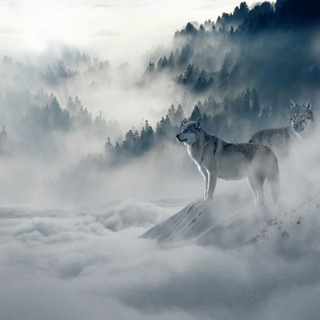 Аватар канала Wallpapers And Art