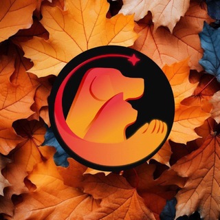 Питомцы Жулебино channel avatar