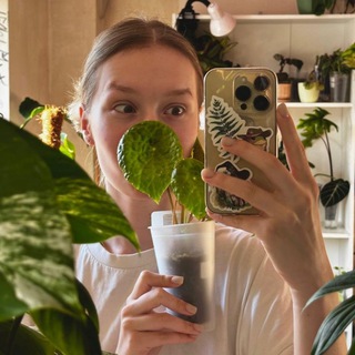 Аватар канала plantlifee.e | Комнатные растения