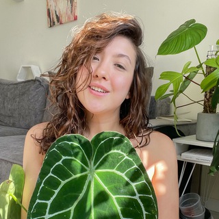 Planty Chloe channel avatar