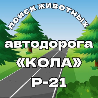 Аватар канала Поиск Зули в лесах Карелии🐈
