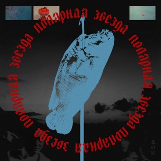 полярная звезда channel avatar