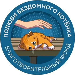 Полюби бездомного котёнка channel avatar