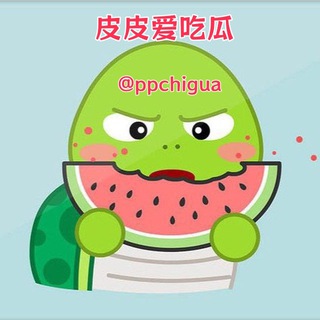 皮皮吃瓜|内涵搞笑 channel avatar