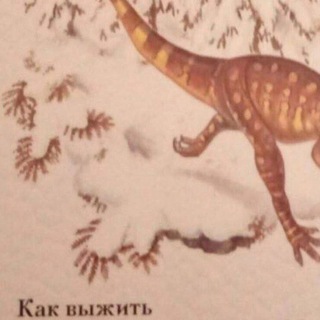 Аватар канала КАК ВЫЖИТЬ