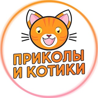 Аватар канала Приколы и Котики