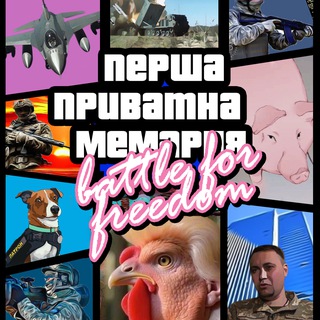 ✙ Перша приватна мемарня channel avatar