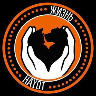 Группа помощи для собачек приюта Хаёт channel avatar