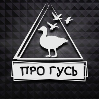 Охота на гуся с ПроГусь channel avatar