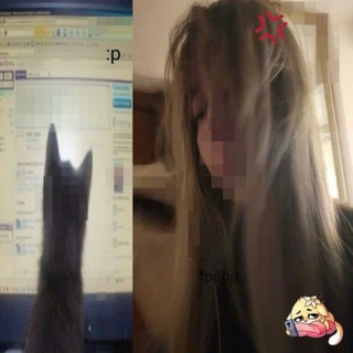@Vitusikw channel avatar
