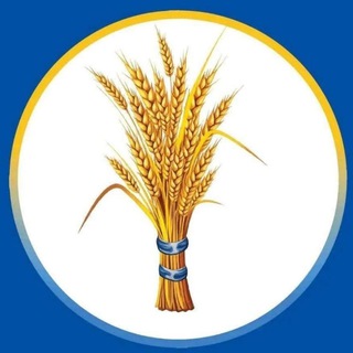 Prosperity Party A.A - ብልፅግና channel avatar