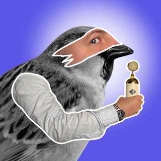Воробей channel avatar