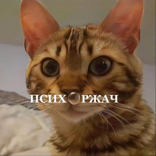 Аватар канала психоржач