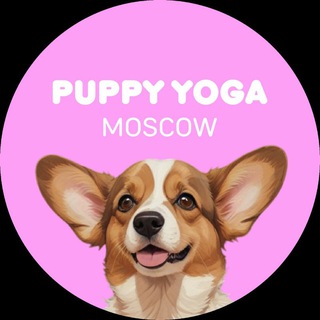 Йога со щенками в Москве channel avatar