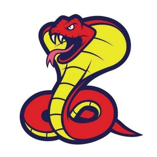 Python работа channel avatar