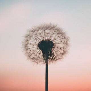 Quiet Thoughts channel avatar
