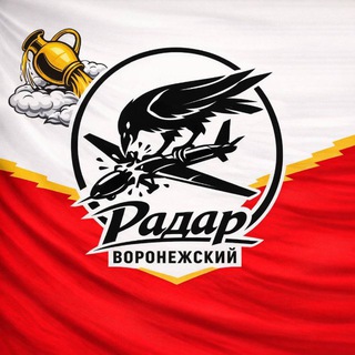 Радар Воронежский channel avatar
