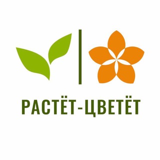 Растёт-Цветёт | Доставка цветов | Рязань channel avatar