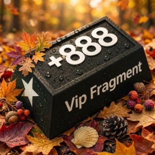 Аватар канала VipFragment x Gifts