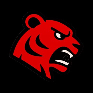 Аватар канала RedTiger Support