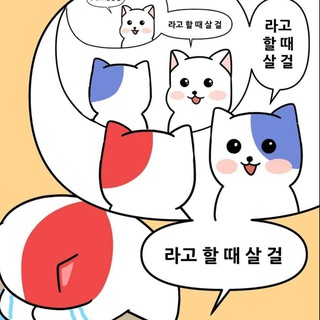 리포트 갤러리 channel avatar